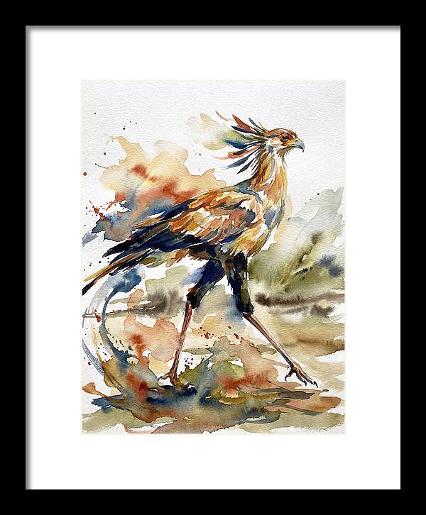 Graceful Secretary Bird Flight