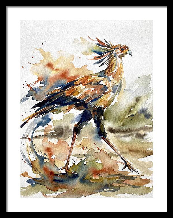 Graceful Secretary Bird Flight