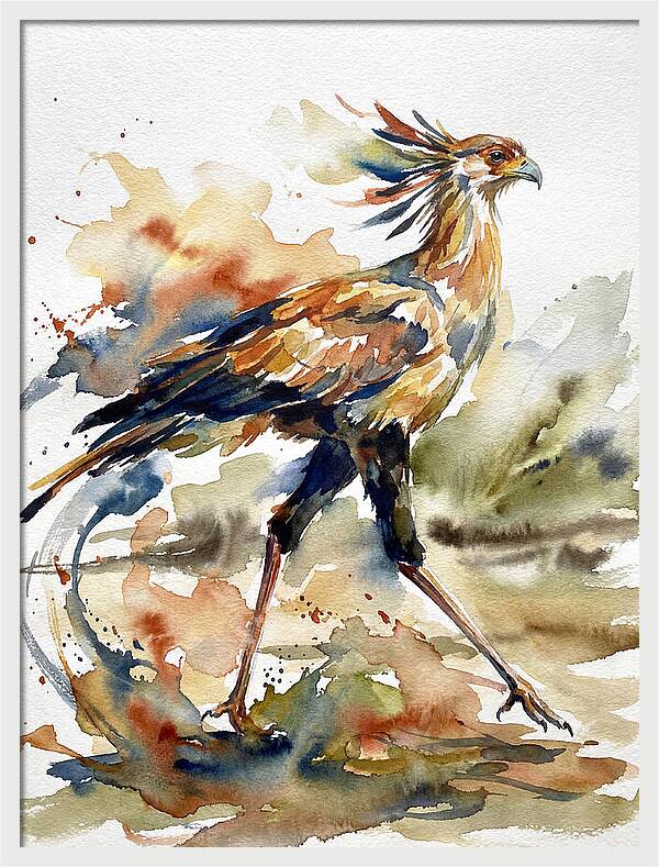Graceful Secretary Bird Flight