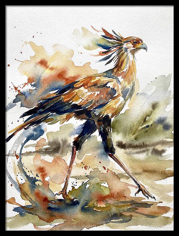 Graceful Secretary Bird Flight