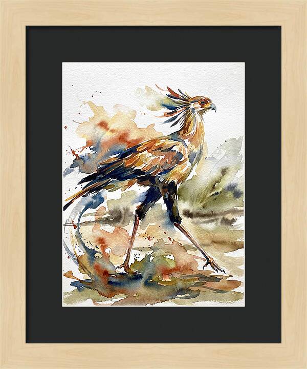 Graceful Secretary Bird Flight