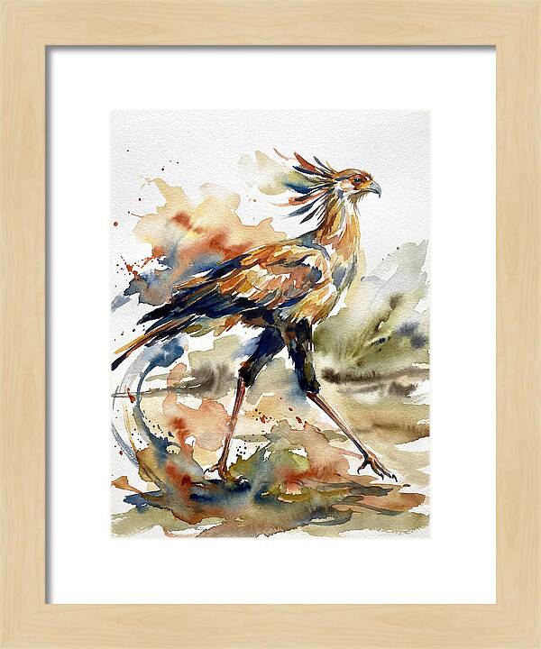 Graceful Secretary Bird Flight