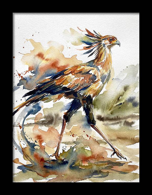 Graceful Secretary Bird Flight
