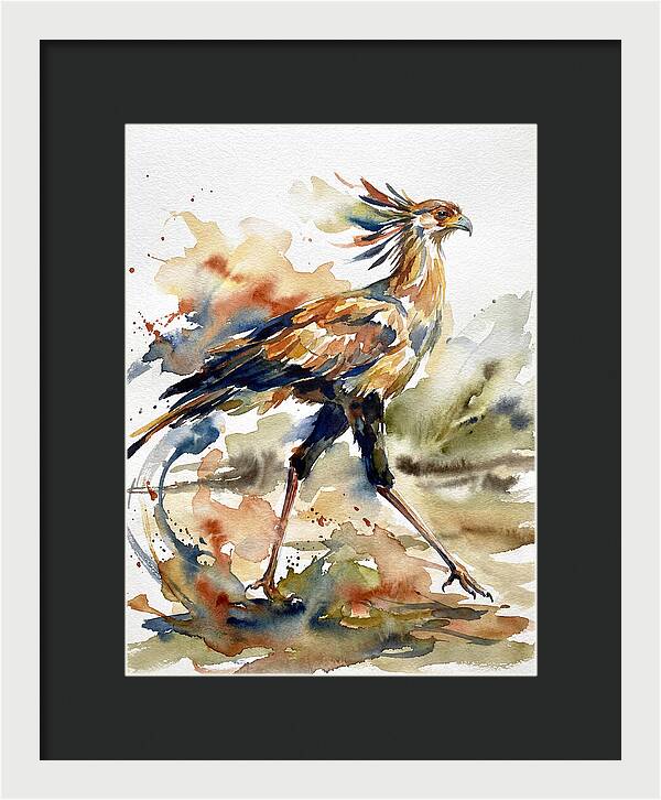 Graceful Secretary Bird Flight
