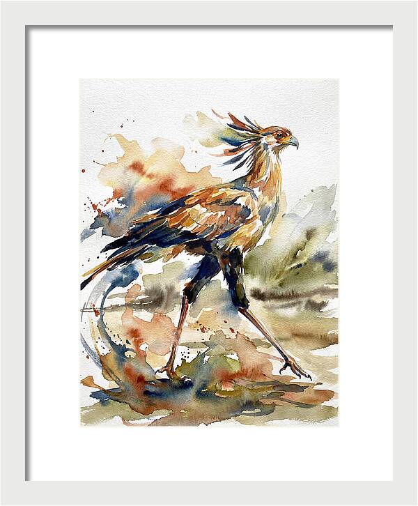 Graceful Secretary Bird Flight