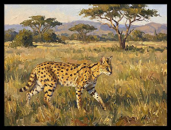 Graceful Serval Amidst Tall Grass
