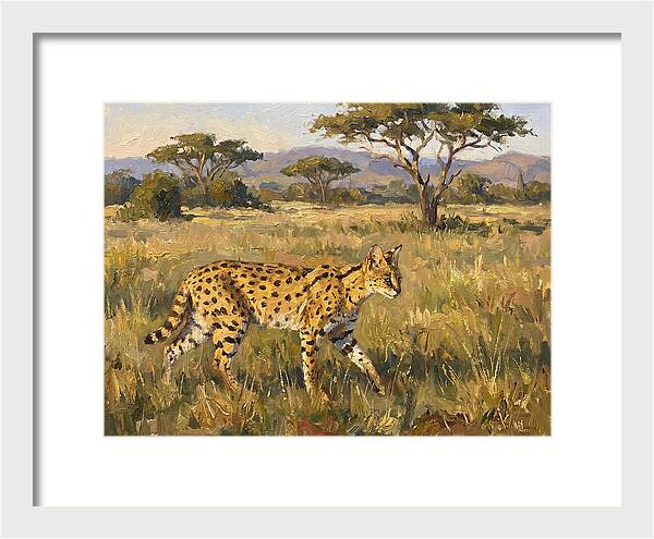 Graceful Serval Amidst Tall Grass
