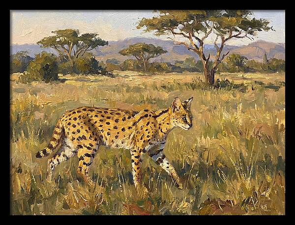 Graceful Serval Amidst Tall Grass