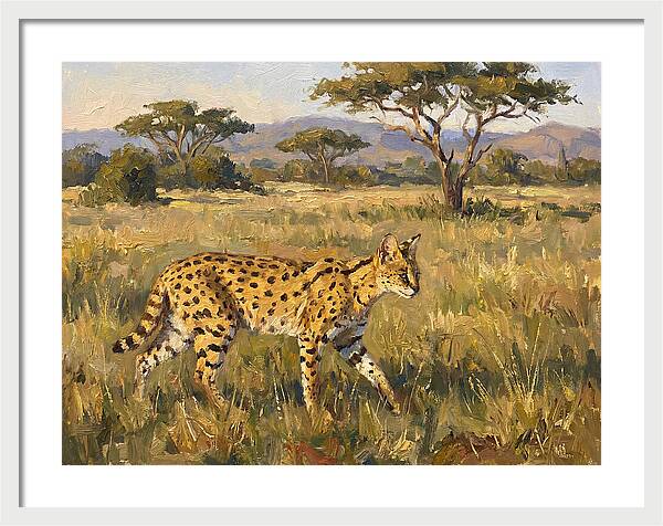 Graceful Serval Amidst Tall Grass