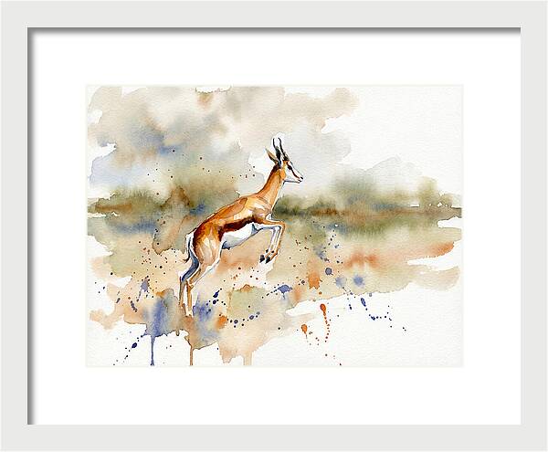 Graceful Springbok Leap