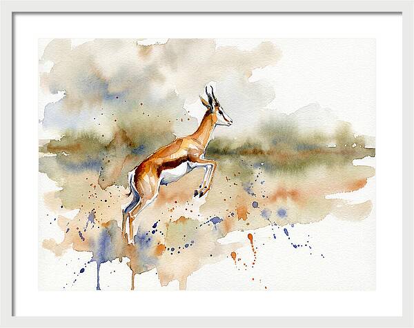 Graceful Springbok Leap