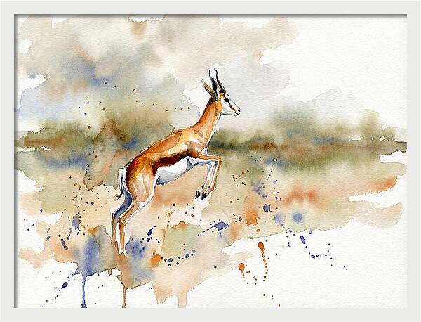 Graceful Springbok Leap