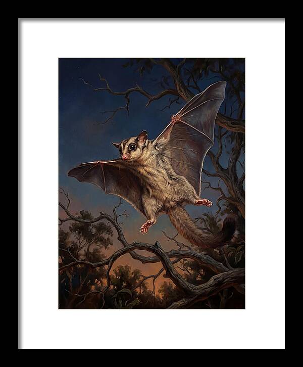 Graceful Sugar Glider Soaring 8584