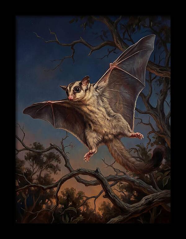 Graceful Sugar Glider Soaring 8584