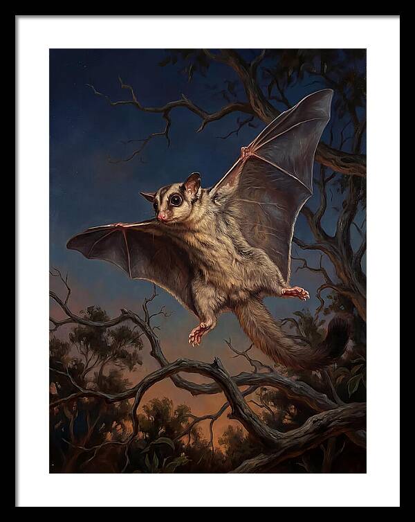 Graceful Sugar Glider Soaring 8584