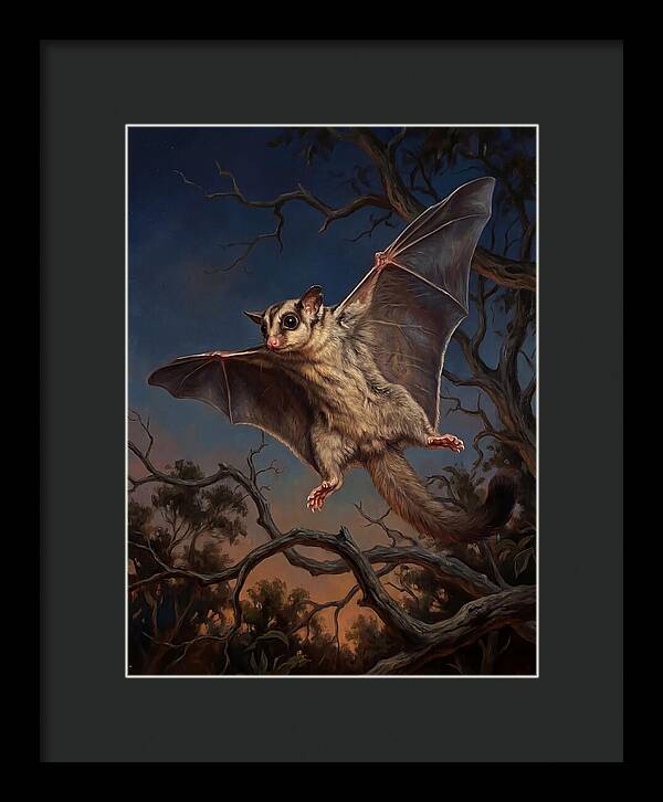 Graceful Sugar Glider Soaring 8584