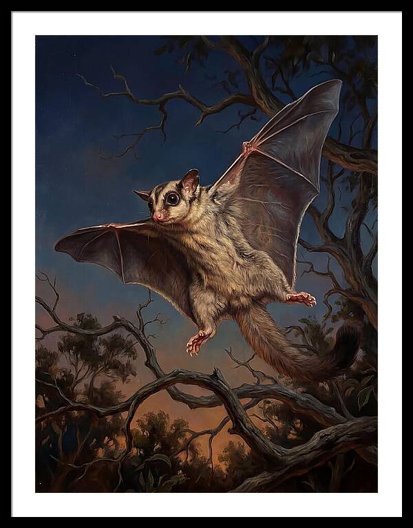 Graceful Sugar Glider Soaring 8584