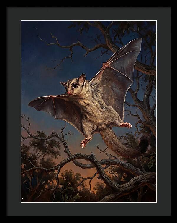 Graceful Sugar Glider Soaring 8584