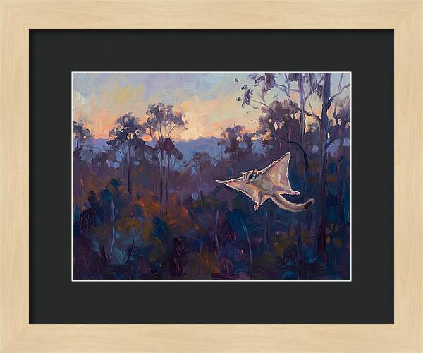 Graceful Sugar Glider Soaring 8597