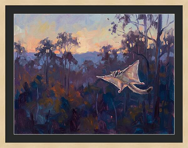 Graceful Sugar Glider Soaring 8597