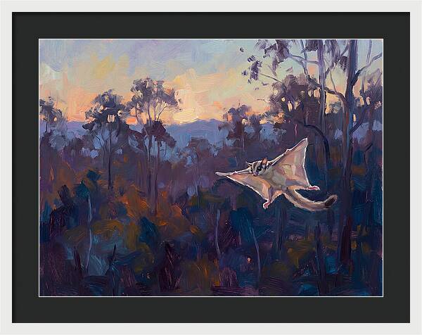 Graceful Sugar Glider Soaring 8597