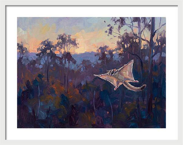 Graceful Sugar Glider Soaring 8597