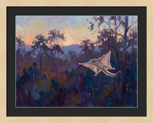 Graceful Sugar Glider Soaring 8597