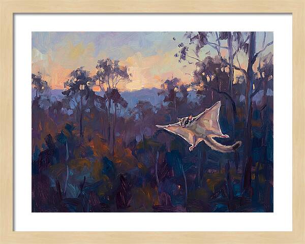 Graceful Sugar Glider Soaring 8597