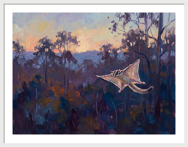 Graceful Sugar Glider Soaring 8597