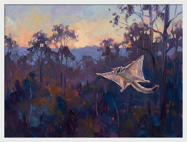 Graceful Sugar Glider Soaring 8597