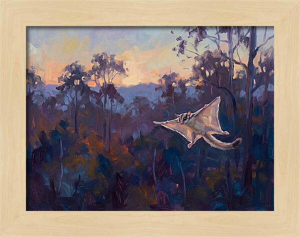 Graceful Sugar Glider Soaring 8597