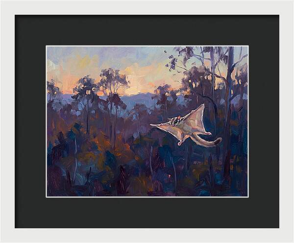 Graceful Sugar Glider Soaring 8597