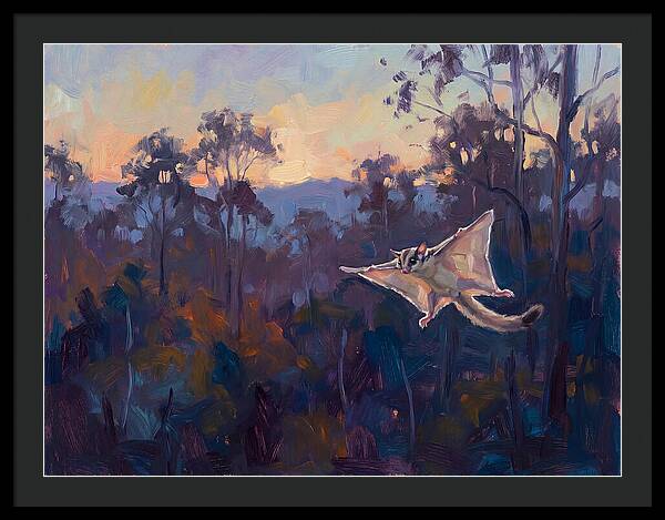 Graceful Sugar Glider Soaring 8597