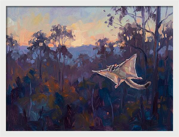 Graceful Sugar Glider Soaring 8597
