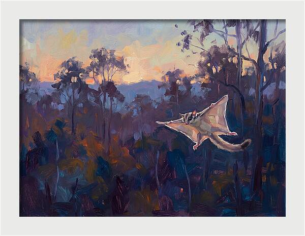 Graceful Sugar Glider Soaring 8597