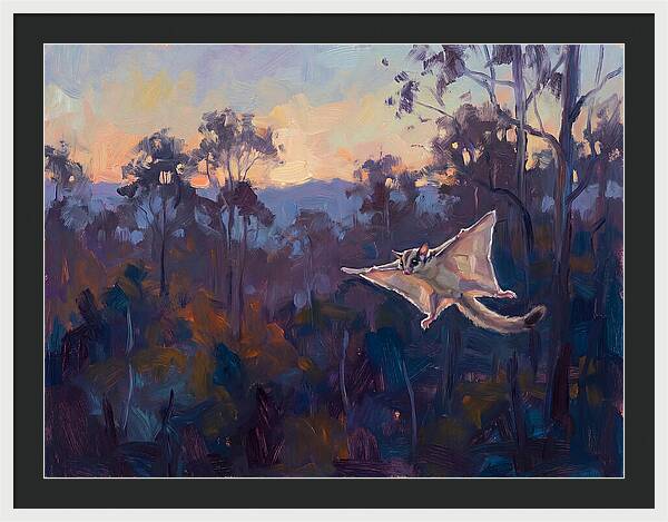 Graceful Sugar Glider Soaring 8597