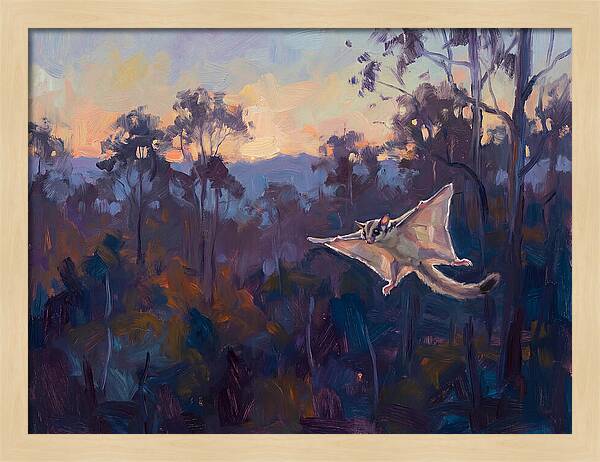 Graceful Sugar Glider Soaring 8597