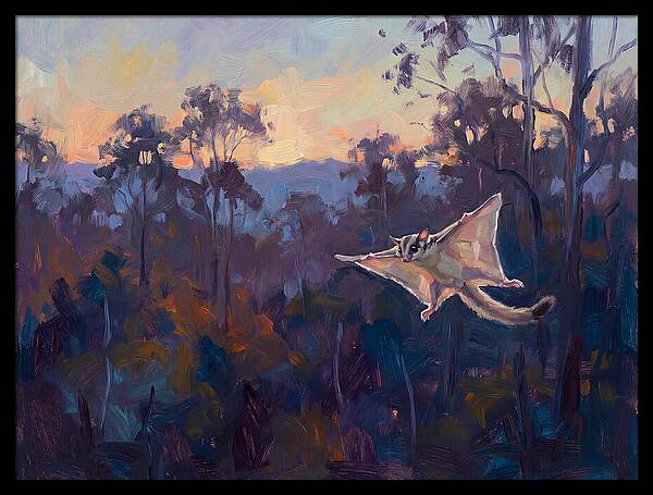Graceful Sugar Glider Soaring 8597