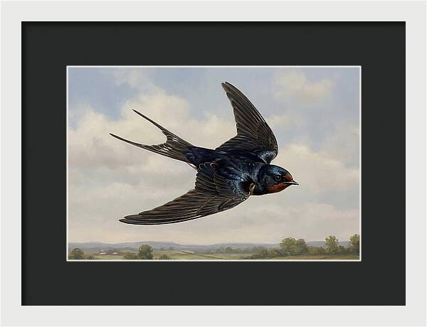 Graceful Swallow Soaring