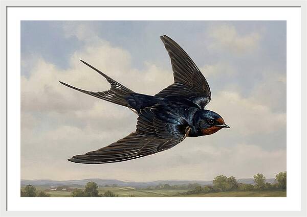 Graceful Swallow Soaring
