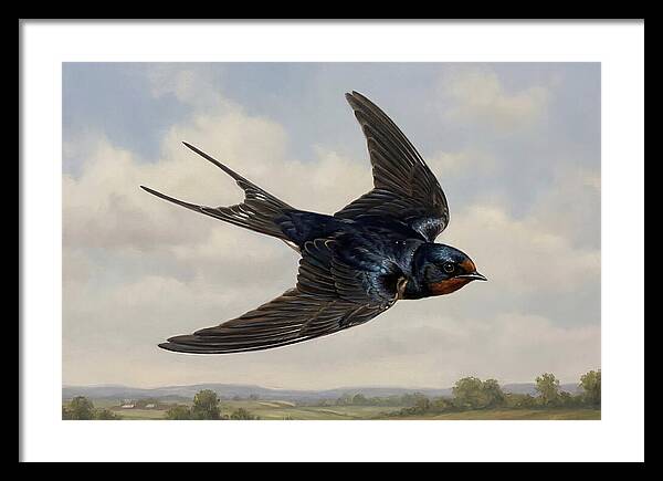 Graceful Swallow Soaring