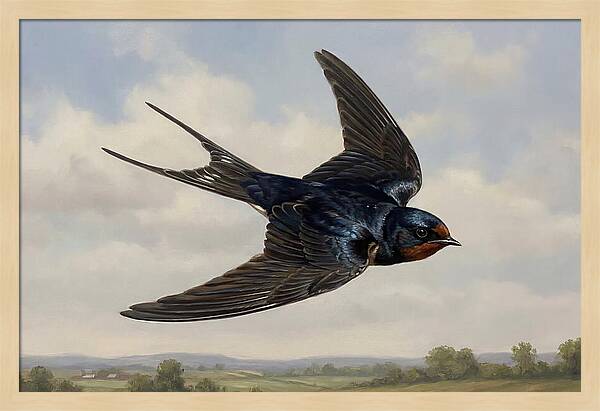 Graceful Swallow Soaring