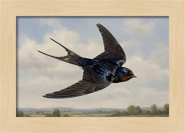 Graceful Swallow Soaring