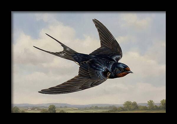 Graceful Swallow Soaring