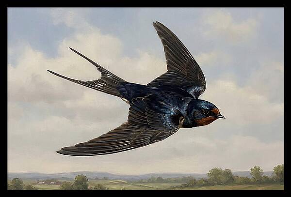Graceful Swallow Soaring