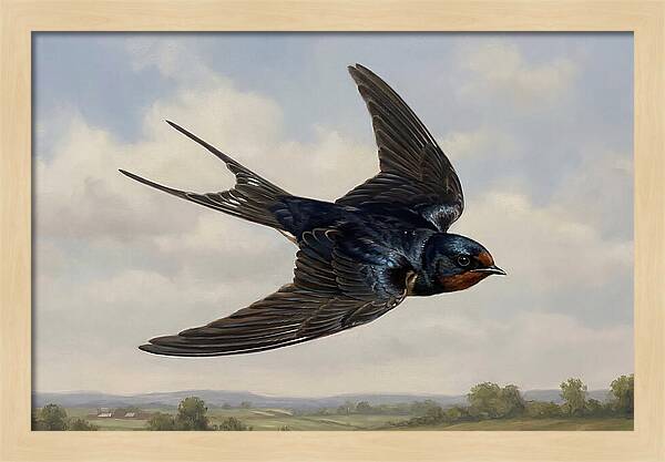 Graceful Swallow Soaring