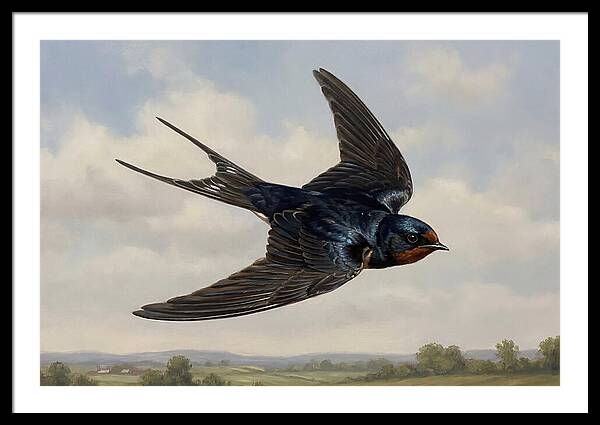 Graceful Swallow Soaring