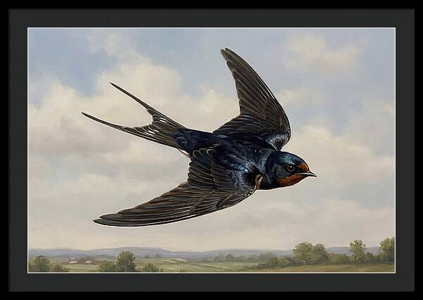 Graceful Swallow Soaring