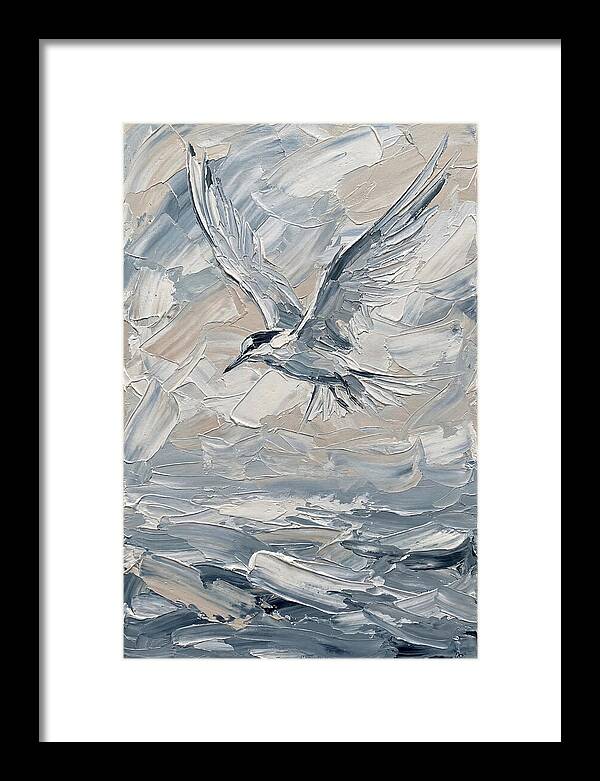 Graceful Tern Soaring