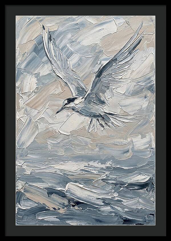 Graceful Tern Soaring